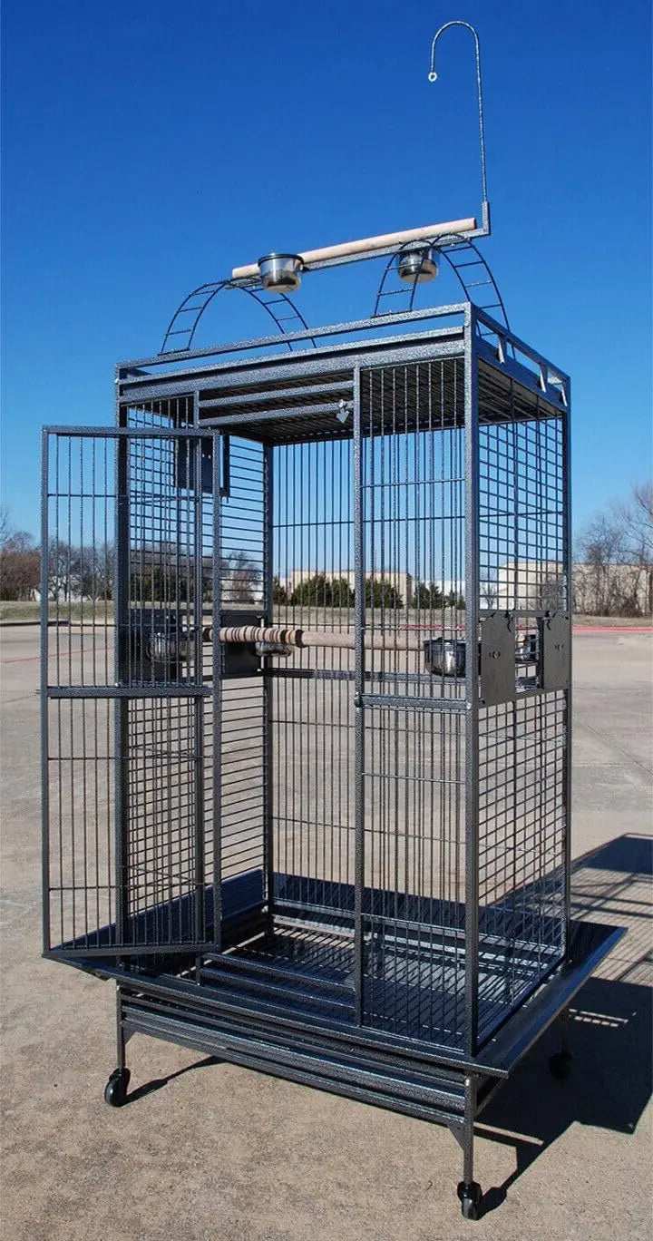 Large Double Ladders Open Play Top Wrought Iron Bird Cage Parrot Parakeet Finch Macaw Cockatoo Includes Seed Guard and Toy Hook