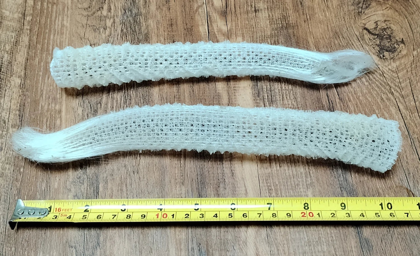 1 PC Sea Porifera Sponge, Euplectella Shell Ocean Creatures Venus Flower Basket Conch Collection Aquarium Decoration Landscaping