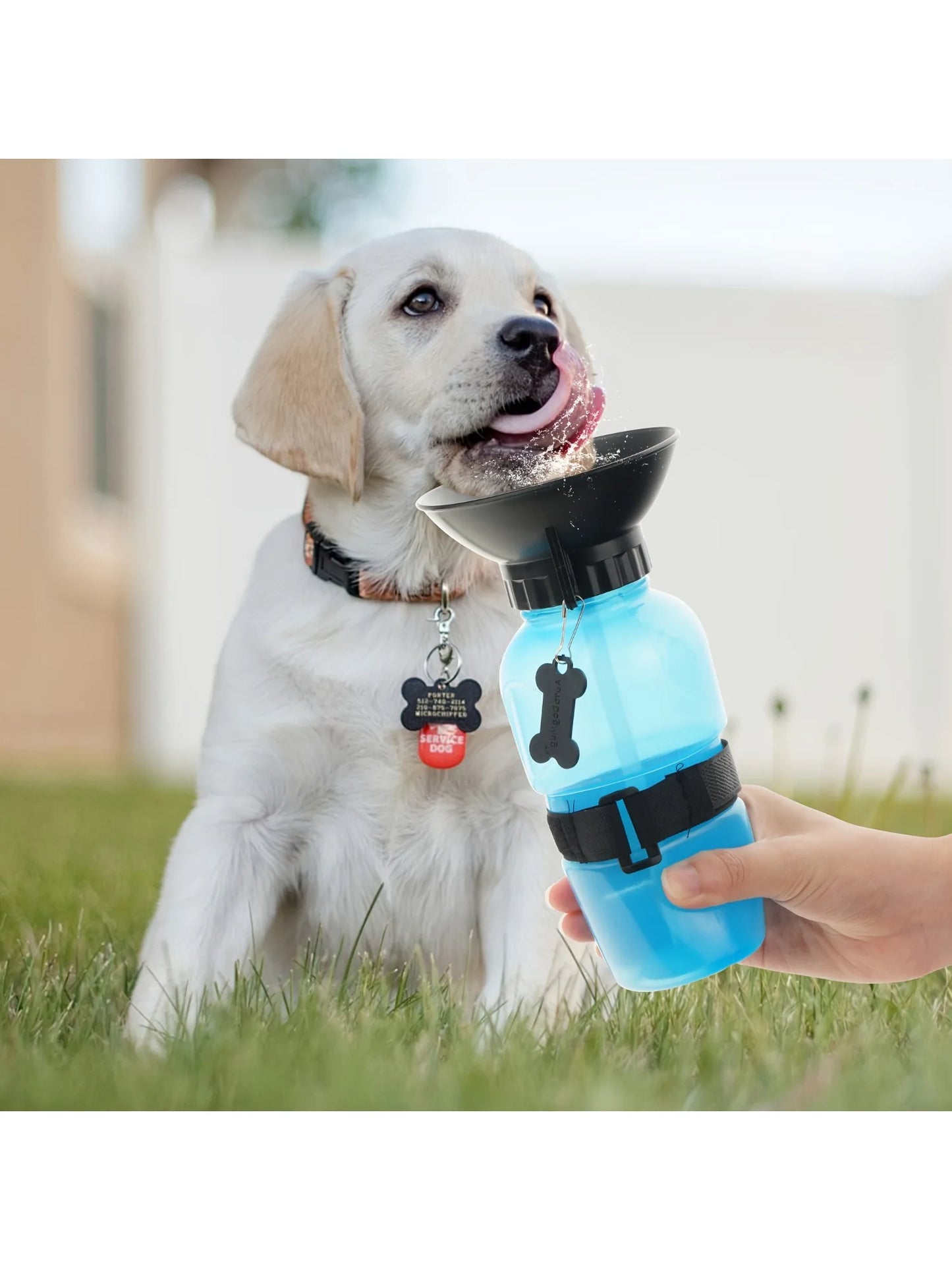Dog Water Bottle, Portable Travel Water Bottle Dispenser For Dogs - Cats & Kitten Puppies Outdoor Travel Water Bottle Bowl,