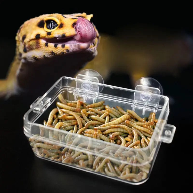 Reptiles Feeder Drinker with Suction Cup Anti-Escape Reptiles Food Bowl For Tortoise Gecko Snakes Chameleon Iguana