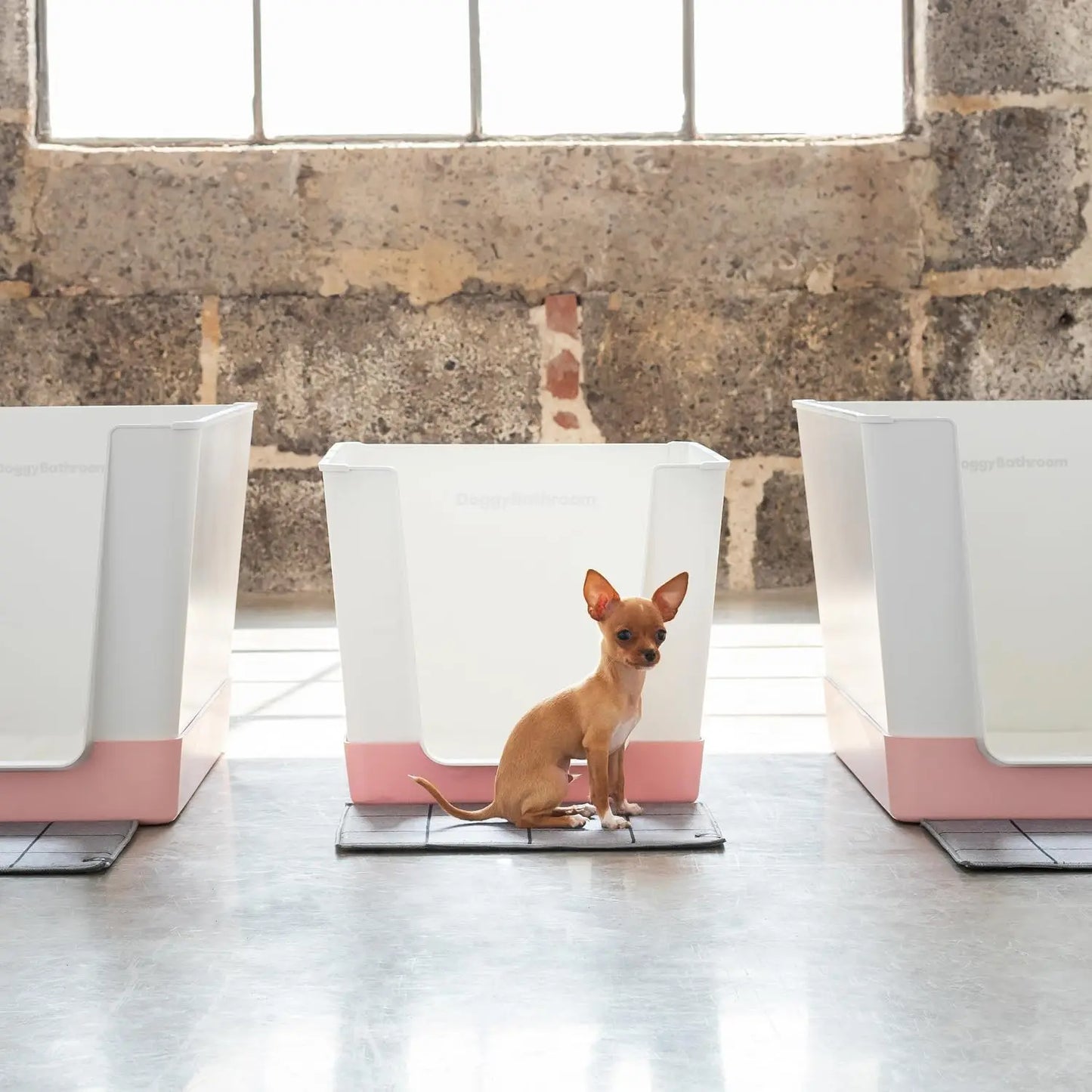 Indoor Dog Toilet Solution - No Mess and Splash Guard - Potty Training Pad Holder