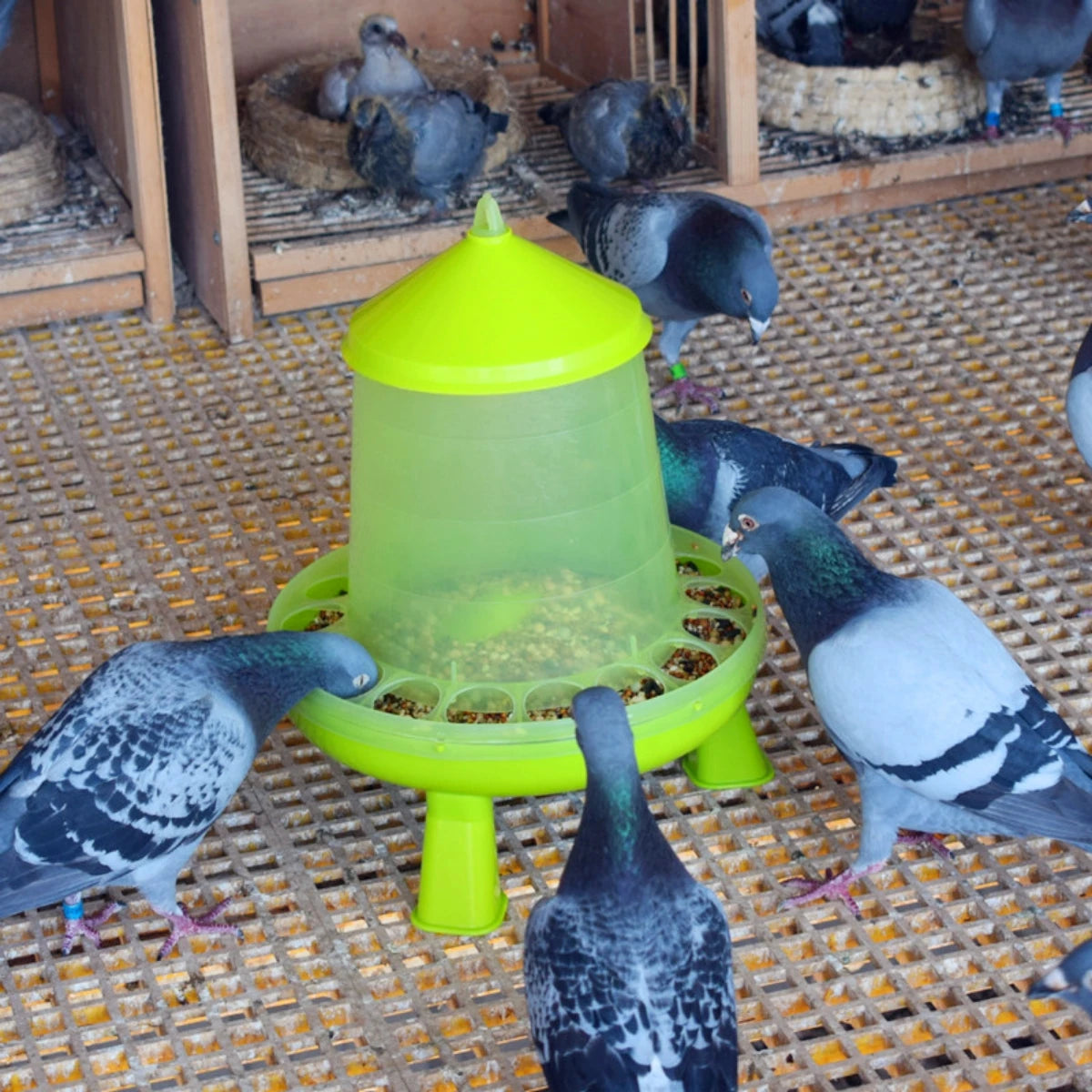 Thickened Net Feed Bucket with Feet Light Green 2kg/4kg Chicken Duck Goose Automatic Feed Bucket Anti-Spill Pigeon Trough 1Pc