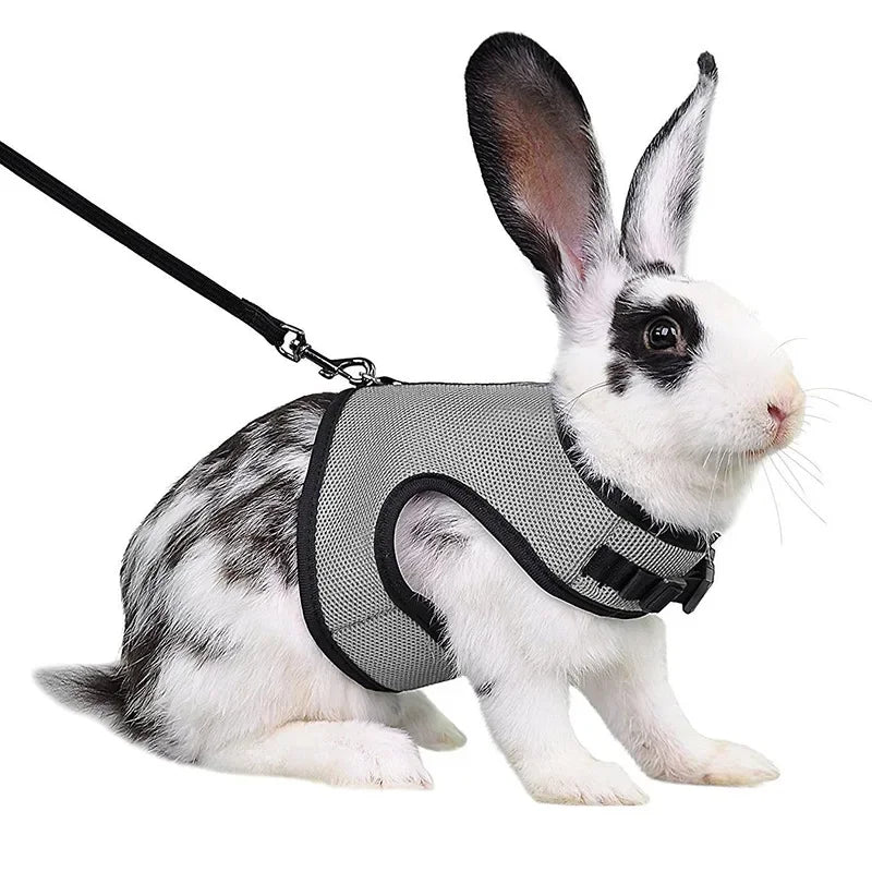 Mesh Breathable Ferret Bunny Harness Leash Set for Small Animals Rabbit Hamsters Summer Walking Pet Lead Pet Accessories