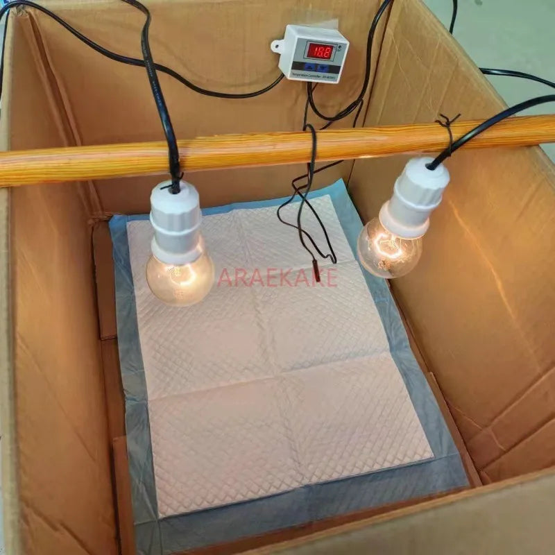 Duck insulation box, chick rearing box, automatic temperature control light, constant temperature bird, chicken, duck, goose,