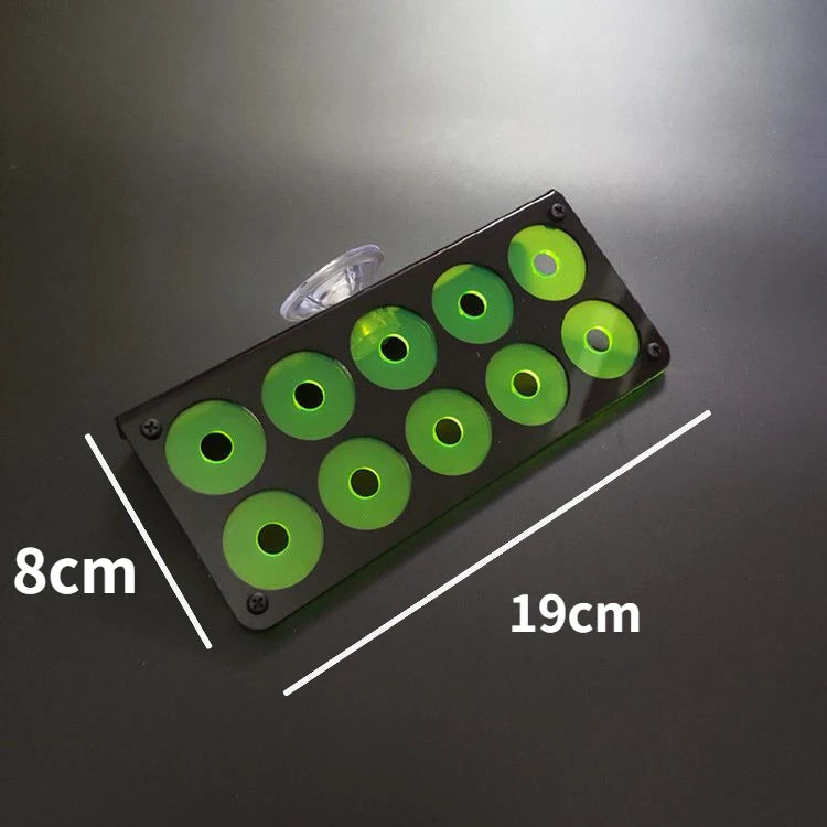 Fluorescent Coral Frag Plug Bracket Growing Holder Acrylic Rack Marine Reef Stand Aquarium Accessories Fish Tank Decoration