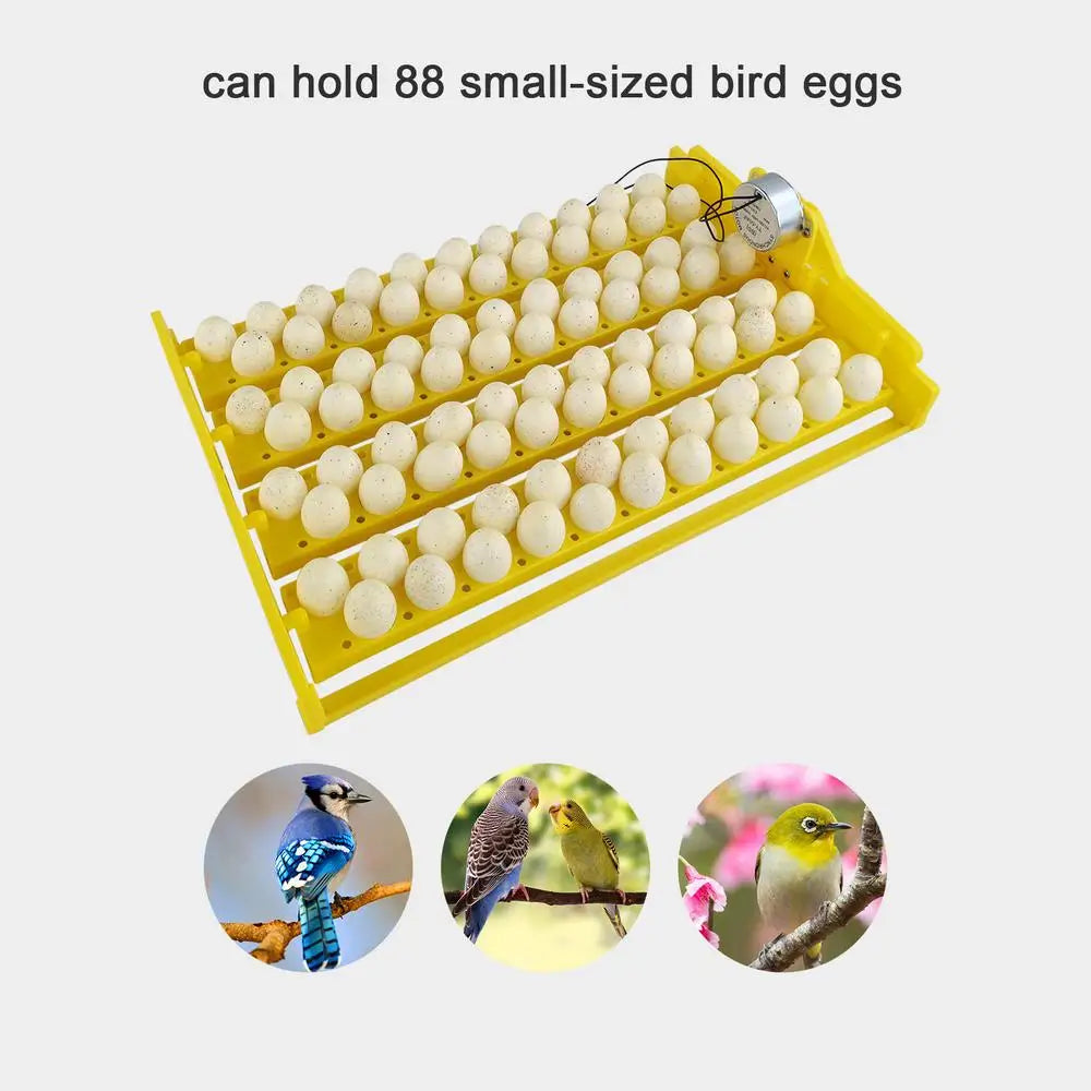 Eggs Incubator Automatic Incubator Hatching Chicken Eggs. Egg Tray Charged Poultry Hatcher Turner Automatic Farm Incubation Tools