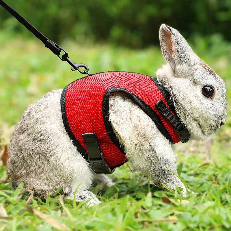 Mesh Breathable Ferret Bunny Harness Leash Set for Small Animals Rabbit Hamsters Summer Walking Pet Lead Pet Accessories
