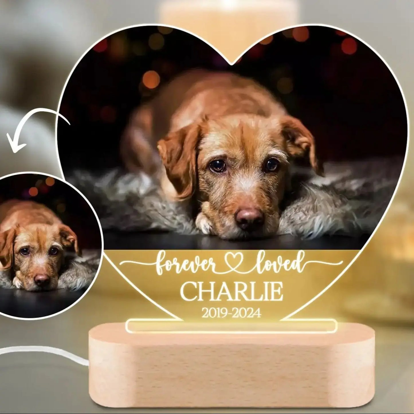 Custom Dog Photo Night Light Pet Memorial Gift Lights Up Pet Memorial Plaque Cat Photo Gift Personalized Gift for Pet Loss