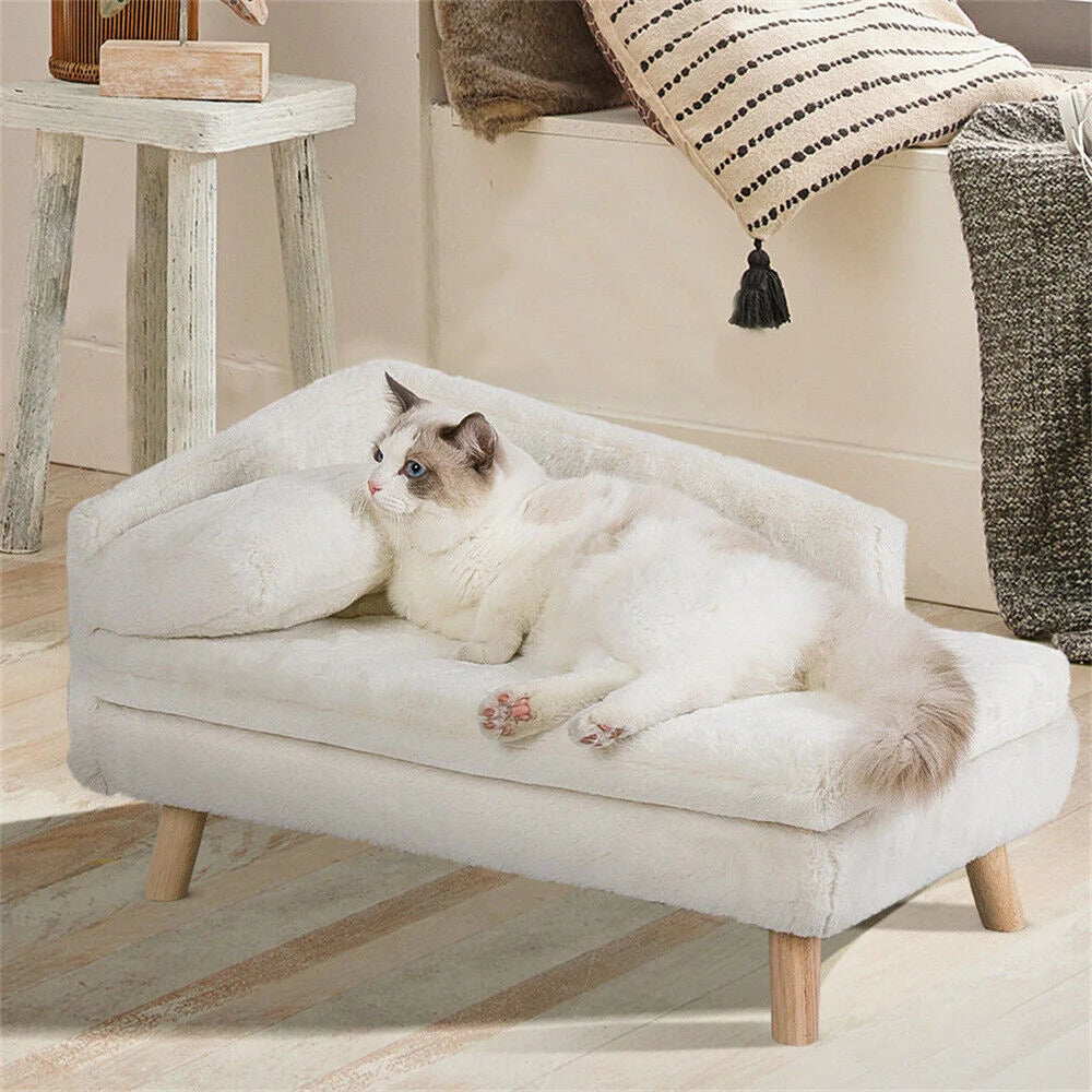 Luxury Elevated Dog Cat Sofa Bed with Backrest Plush Cushion for Small Medium