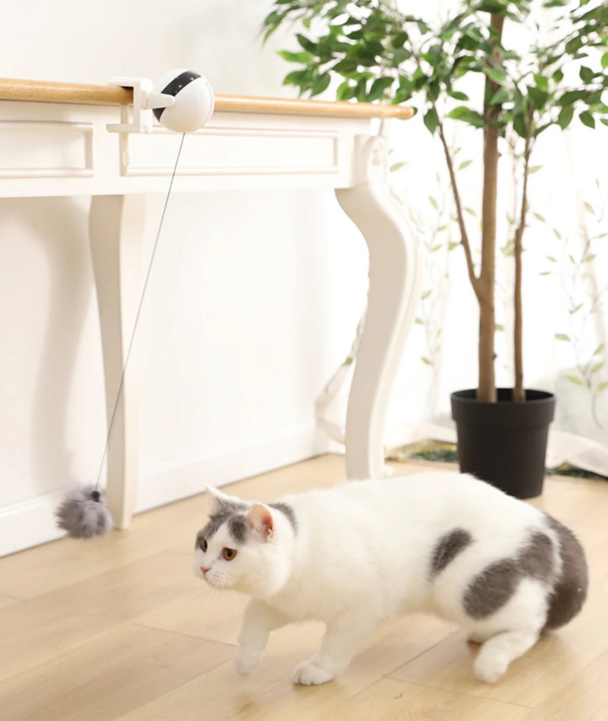 1Pc Fun Lifting Ball Electric Motion Cat Toy With Automatic Retractable Cat Teasing Ball Rotating Interactive Puzzle Pet Toys Cat Toys