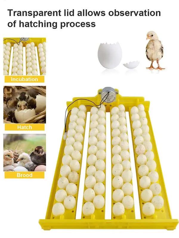 Eggs Incubator Automatic Incubator Hatching Chicken Eggs. Egg Tray Charged Poultry Hatcher Turner Automatic Farm Incubation Tools