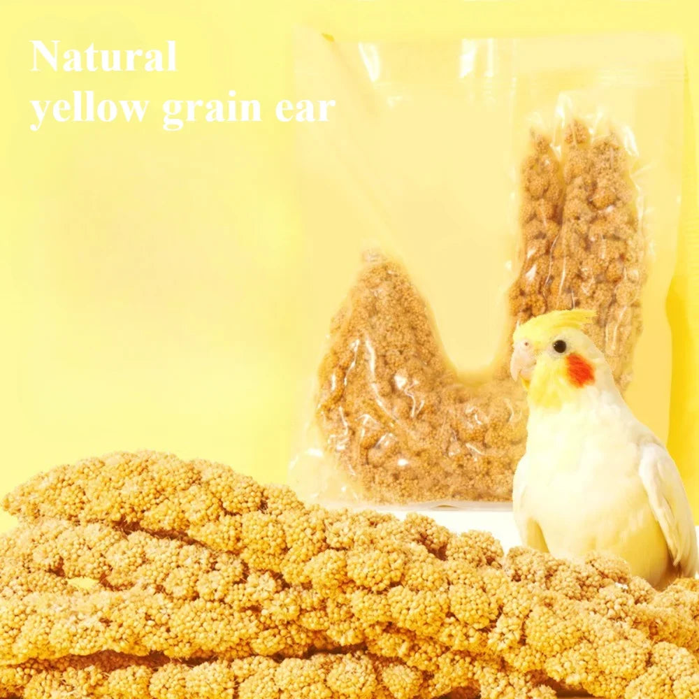 Parakeet snack grain with shell yellow millet Xuan Phoenix tiger skin feed bird food Wenbird pearl bird snack