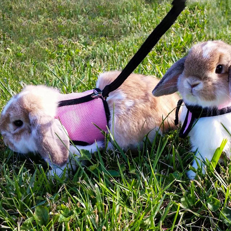 Mesh Breathable Ferret Bunny Harness Leash Set for Small Animals Rabbit Hamsters Summer Walking Pet Lead Pet Accessories