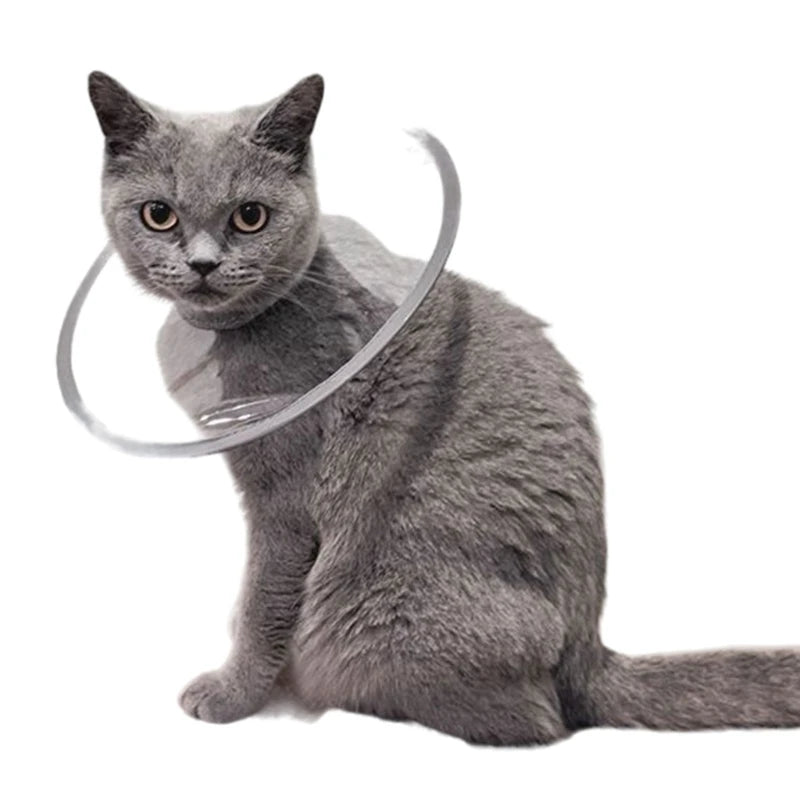 Comfortable Pet Recovery Clear Cone Collar Multiple Sizes Adjustable Recovery Collar Soft For Pet Dog Cats
