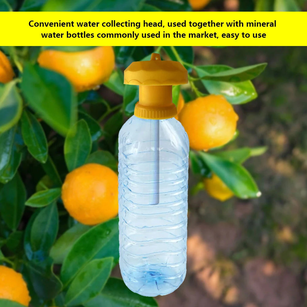 1-20PCS Fruit Killer Plastic Yellow Drosophila Trap Fly Trap Killer Cover Fly Catcher Pest Insect Control For Home Farm