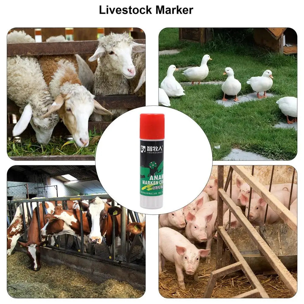 Pig Marking Crayons Farm Pig Labelling Marking Livestock Crayons Livestock Breeding Crayon Animal Husbandry Markers For Horses