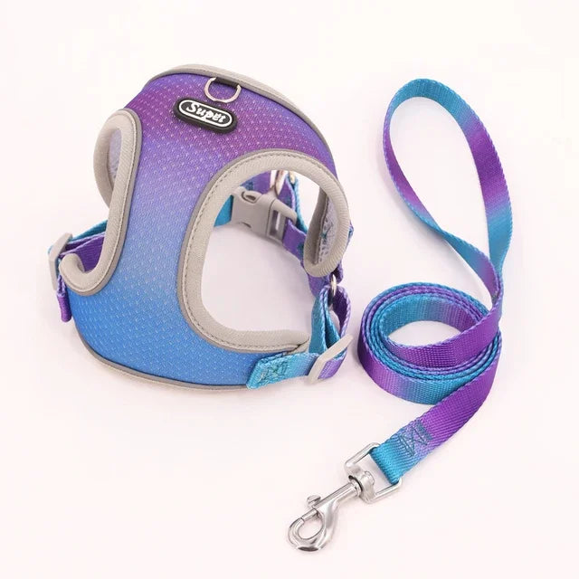 1pc Dog Harness Small, Medium Ombre Harness and Leash Set. Air tag cat collar Leash Flea tick control