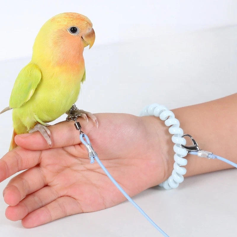 Parrot Bird Flying Training Leash Ultra-light Flexible Rope Anti-bite Leg Ring Harness Outdoor Macaw Cockatiel Starling