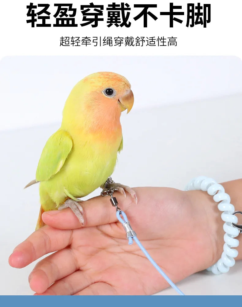 Parrot Bird Flying Training Leash Ultra-light Flexible Rope Anti-bite Leg Ring Harness Outdoor Macaw Cockatiel Starling