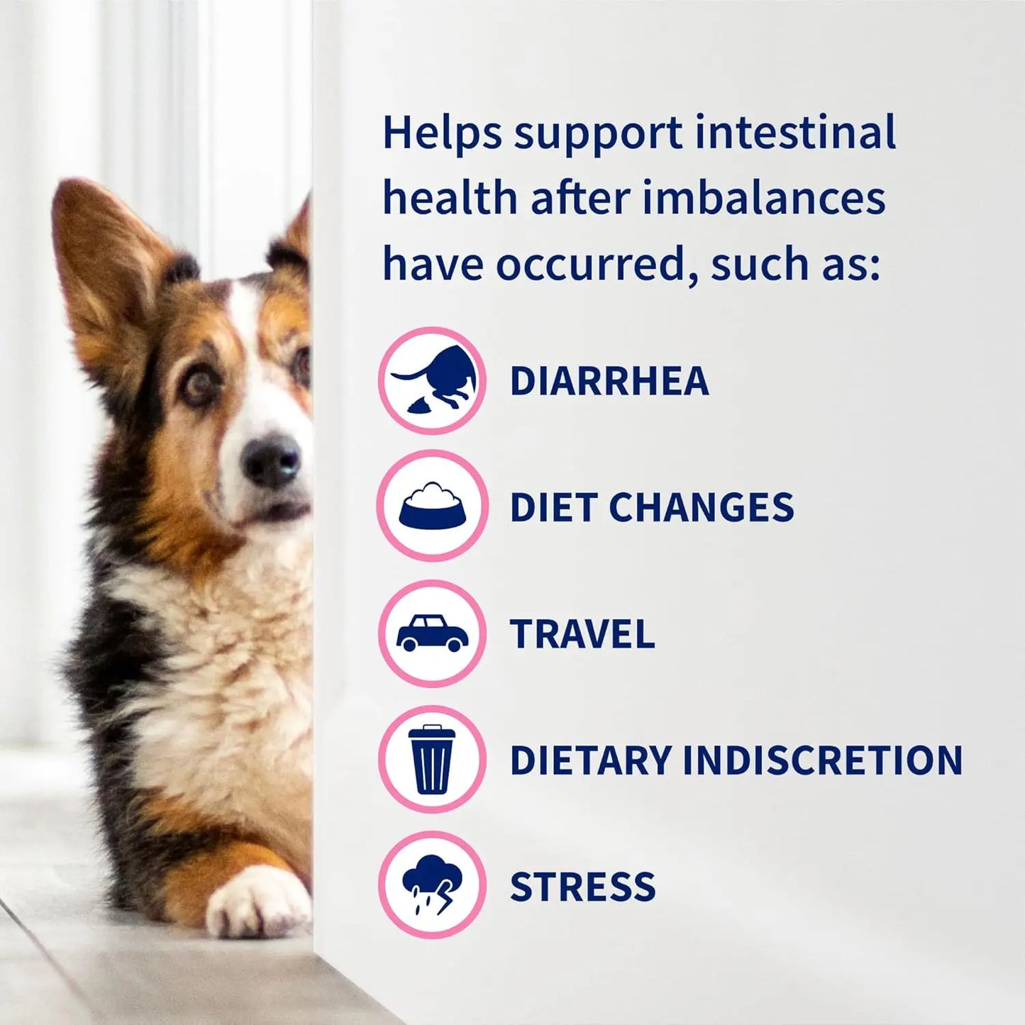 80 Count Proviable Digestive Health Supplement Multi-Strain Probiotics for Cats and Dogs - with 7 Strains of Bacteria
