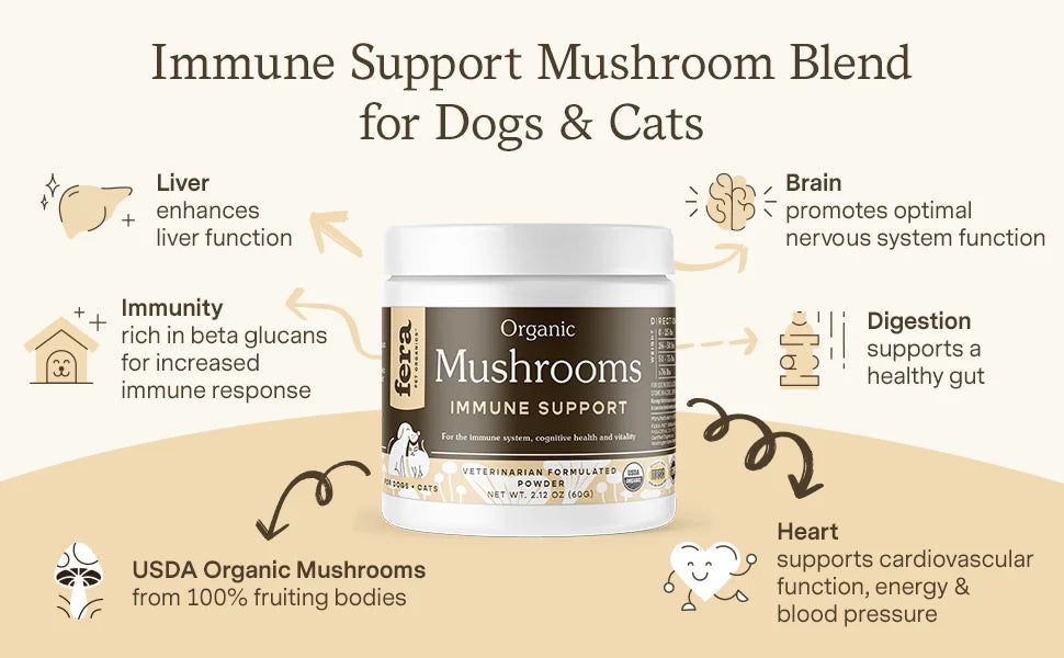 Turkey Tail Mushroom Supplement for Dogs & Cats - Vet Created - for Cognition & Immune System – Organic