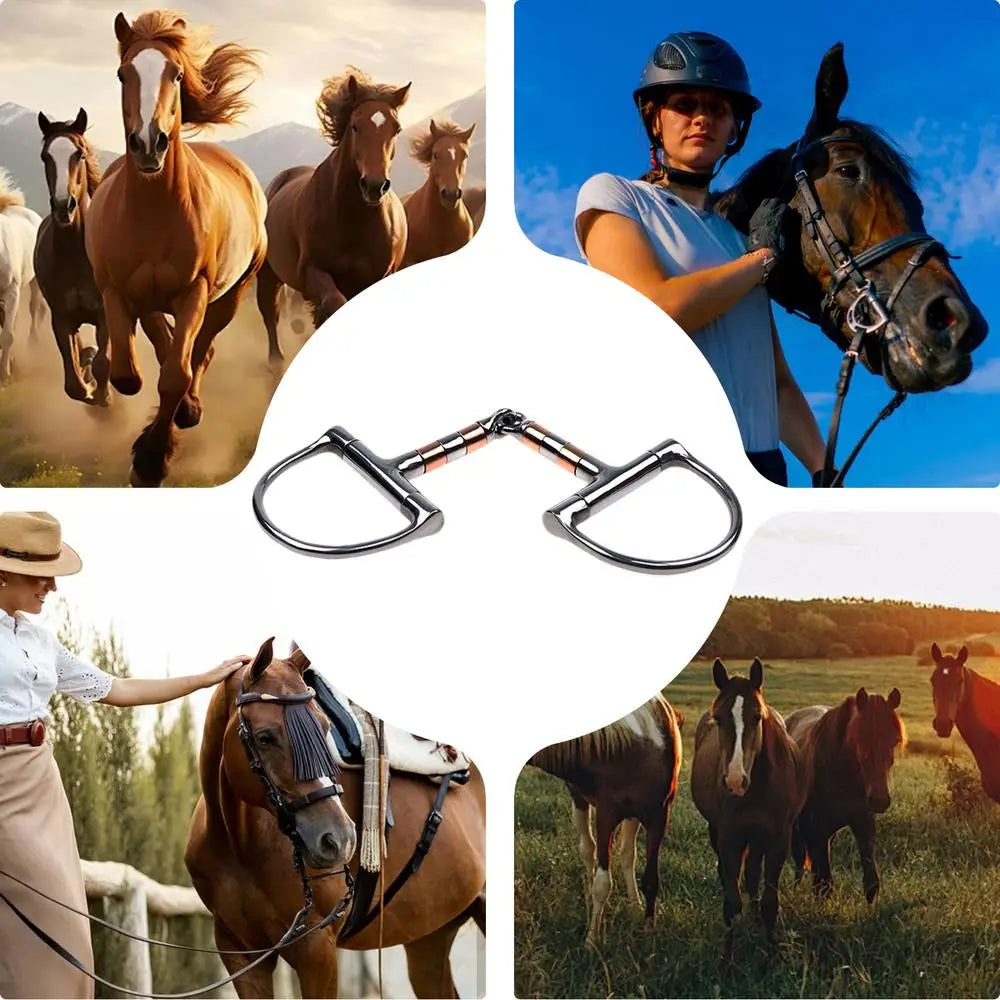 Horse Snaffle Bit D Ring Mouth Bit Roller With Copper Single Joint Horse Bit D-Ring Snaffle Bits For Equestrian Supplies