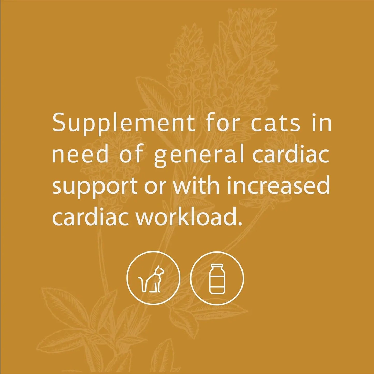 Cardiac Support - Cardiovascular System Supplement for Felines - Dietary Cat Supplement to Support Heart