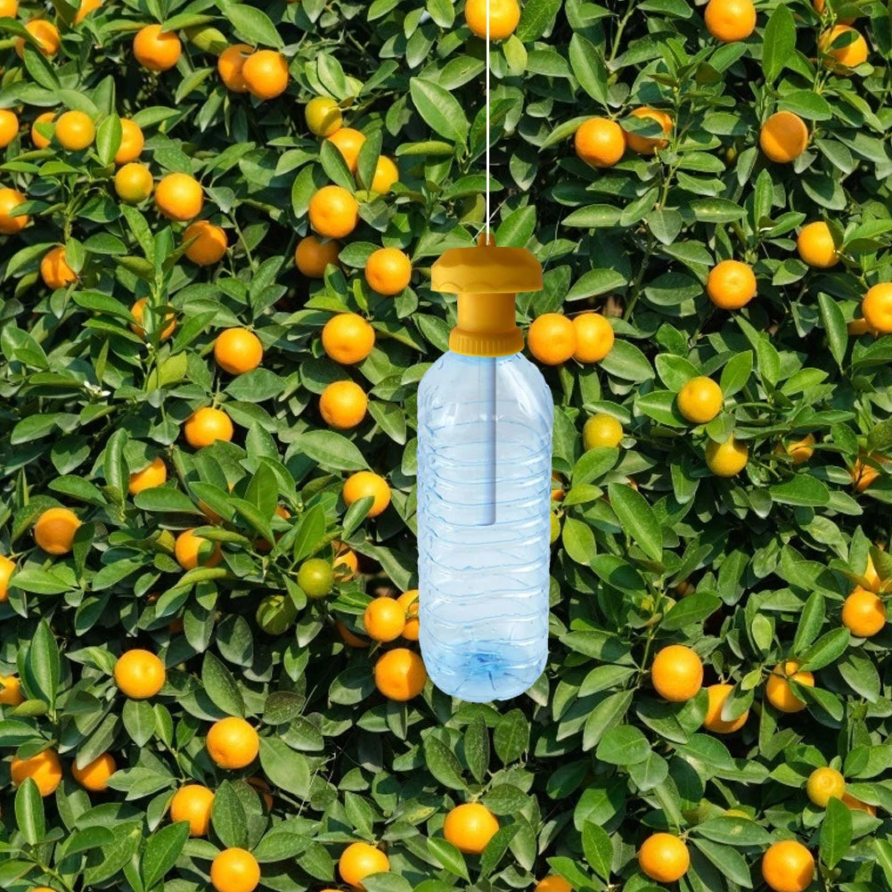 1-20PCS Fruit Killer Plastic Yellow Drosophila Trap Fly Trap Killer Cover Fly Catcher Pest Insect Control For Home Farm