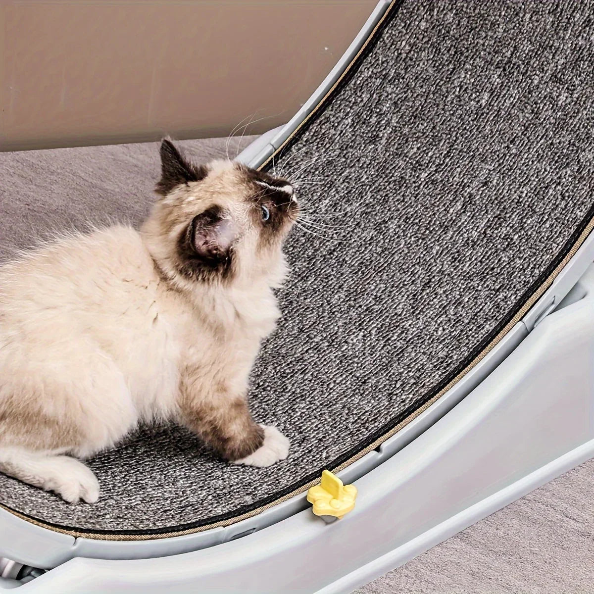 1pc Silent Cat Treadmill - Sturdy indoor rollers with locking mechanism, made of PP material, suitable for most cat activities