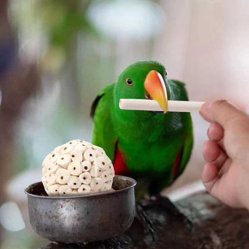 Parrot Chewing Toy Ball Chew Shred Foraging Bird Cage Accessories for Parakeet Parrot Lovebird Budgies Conure Cockatiel
