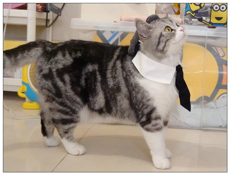 Funny Pet Cat Hat and tie Gentleman's Hat Beret Tie Bathing Blood Gangster Handsome Cosplay Photo Prop Pet Halloween Costume