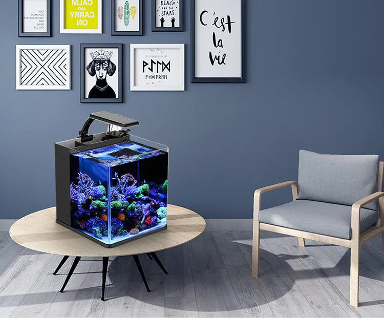 Ultra Clear Glass Mini Salt Water Marine Aquarium Fish Tank
