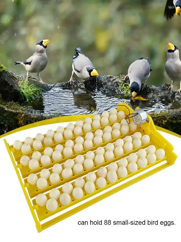 Eggs Incubator Automatic Incubator Hatching Chicken Eggs. Egg Tray Charged Poultry Hatcher Turner Automatic Farm Incubation Tools