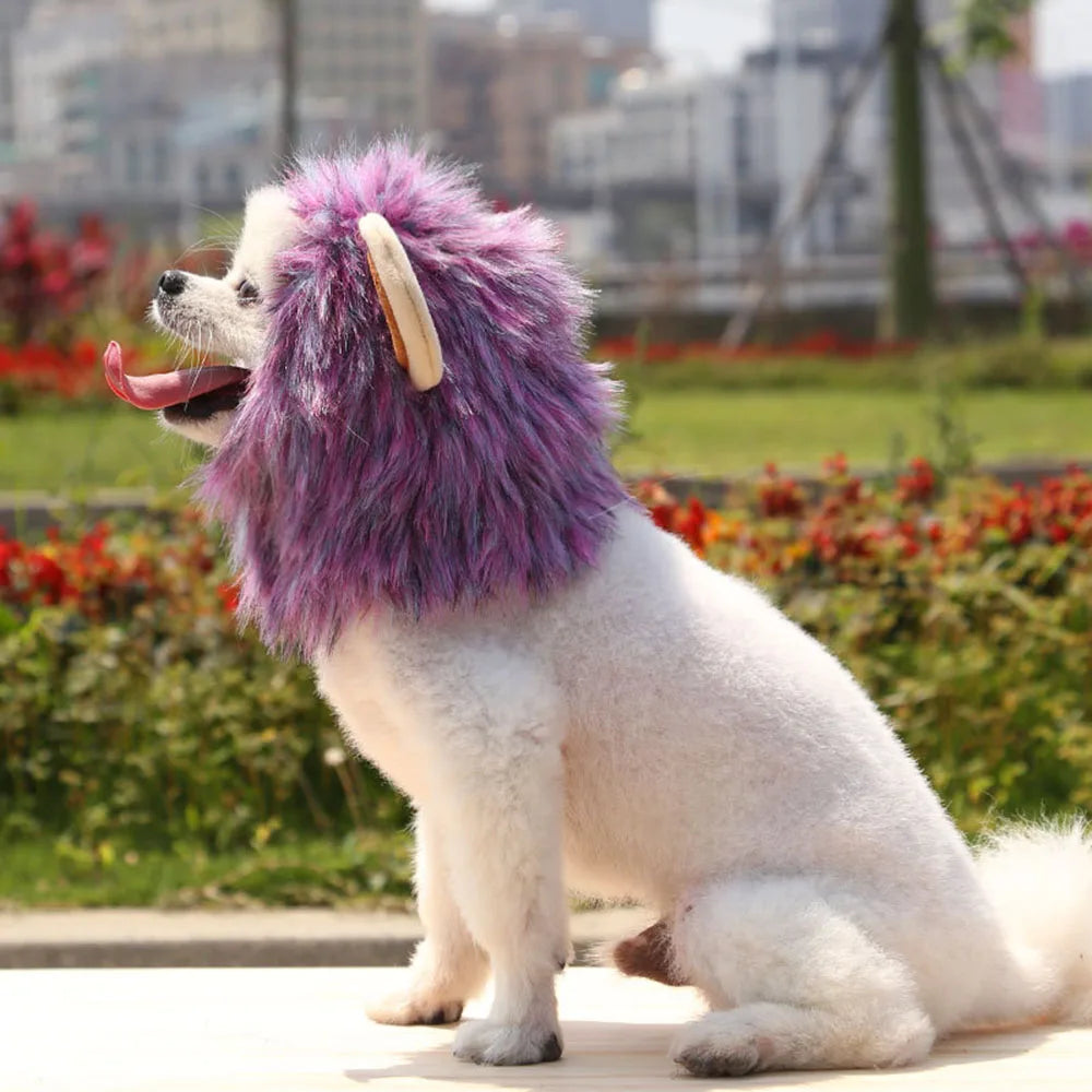 Cat Costume Cute Lion Mane Wig Hat for Cat Puppy Dog Decor Accessories Lion Kitten Cat Wig Fancy Hair Cap Halloween Pet Supplies