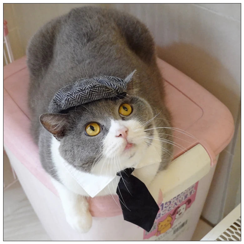 Funny Pet Cat Hat and tie Gentleman's Hat Beret Tie Bathing Blood Gangster Handsome Cosplay Photo Prop Pet Halloween Costume