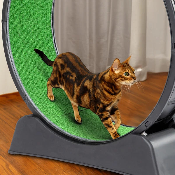 Cat Treadmill Wheel Exerciser with Carpeted Runway, Plastic Cat Running Wheel for Cats Daily Exercise and Weight Loss, Black