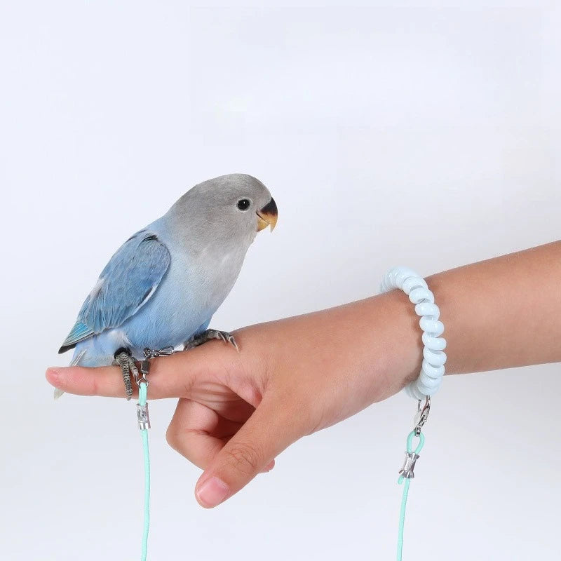 Parrot Bird Flying Training Leash Ultra-light Flexible Rope Anti-bite Leg Ring Harness Outdoor Macaw Cockatiel Starling