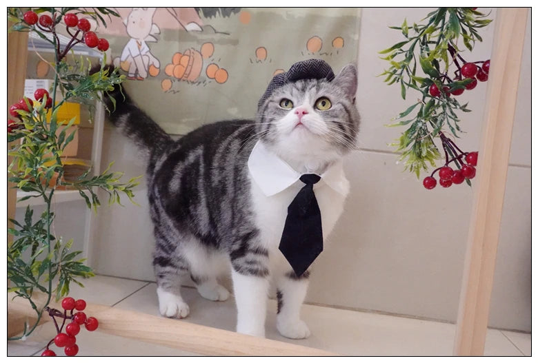 Funny Pet Cat Hat and tie Gentleman's Hat Beret Tie Bathing Blood Gangster Handsome Cosplay Photo Prop Pet Halloween Costume