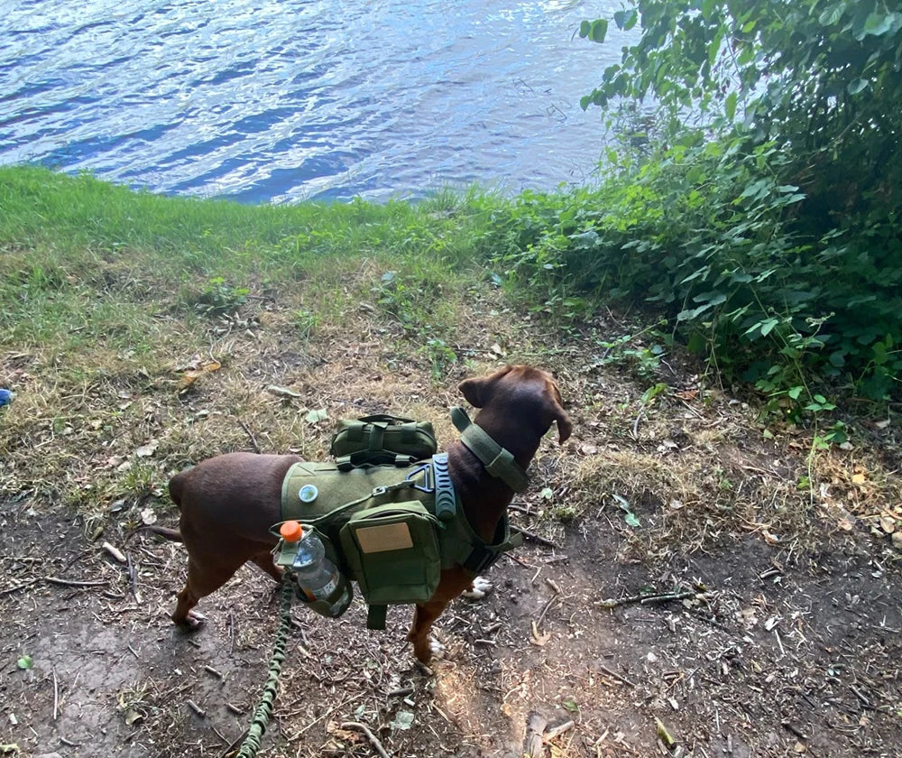 Military Large Dog Harness Collar Leash Bags Patches Set Malinois Training Vests Tactical Dogs Harnesses Accessories