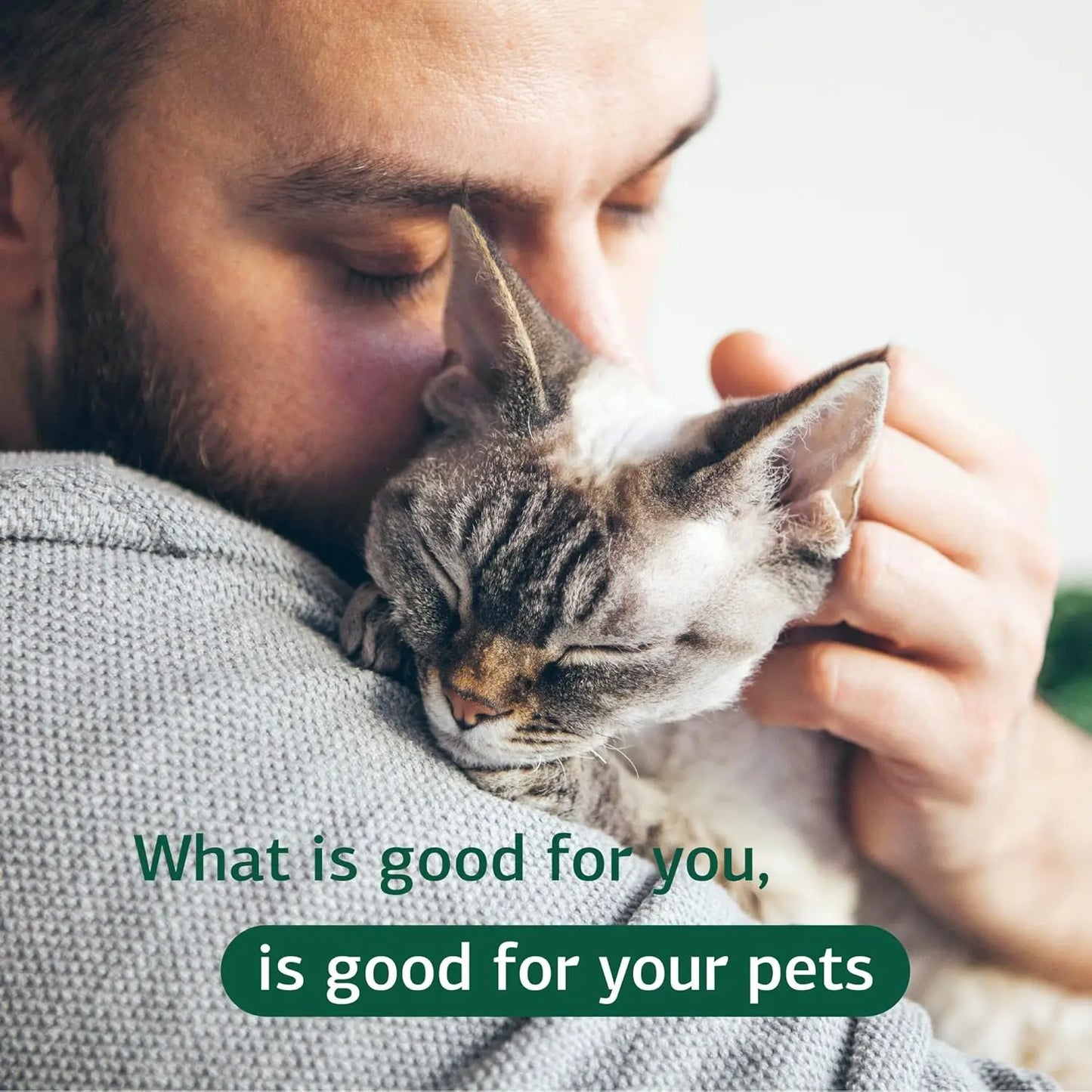 Cardiac Support - Cardiovascular System Supplement for Felines - Dietary Cat Supplement to Support Heart