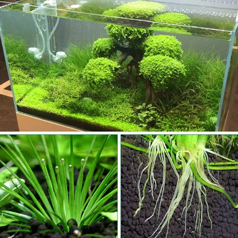 500g Aquarium Water Grass Mud Ceramsite Sand Landscaping Fish Tank Black Mud Bottom Sand Nutrient Soil