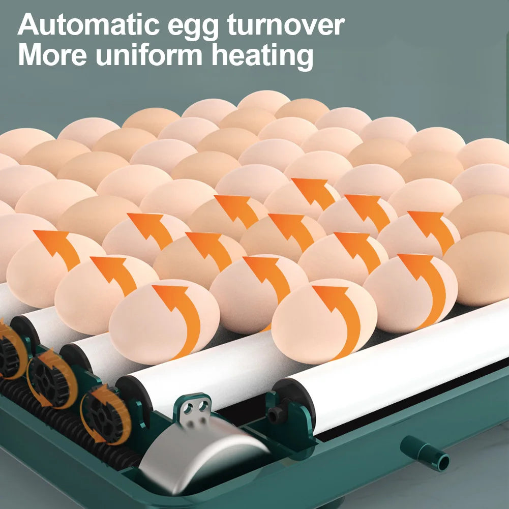 6-12 Eggs Incubator for Chicken Goose Bird Quail Automatic Incubation Equipment Hatchery Incubation Tools EU/US/UK Plug