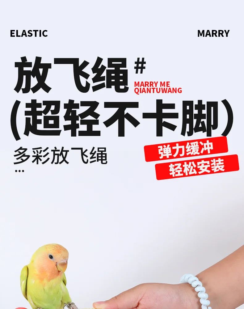 Parrot Bird Flying Training Leash Ultra-light Flexible Rope Anti-bite Leg Ring Harness Outdoor Macaw Cockatiel Starling