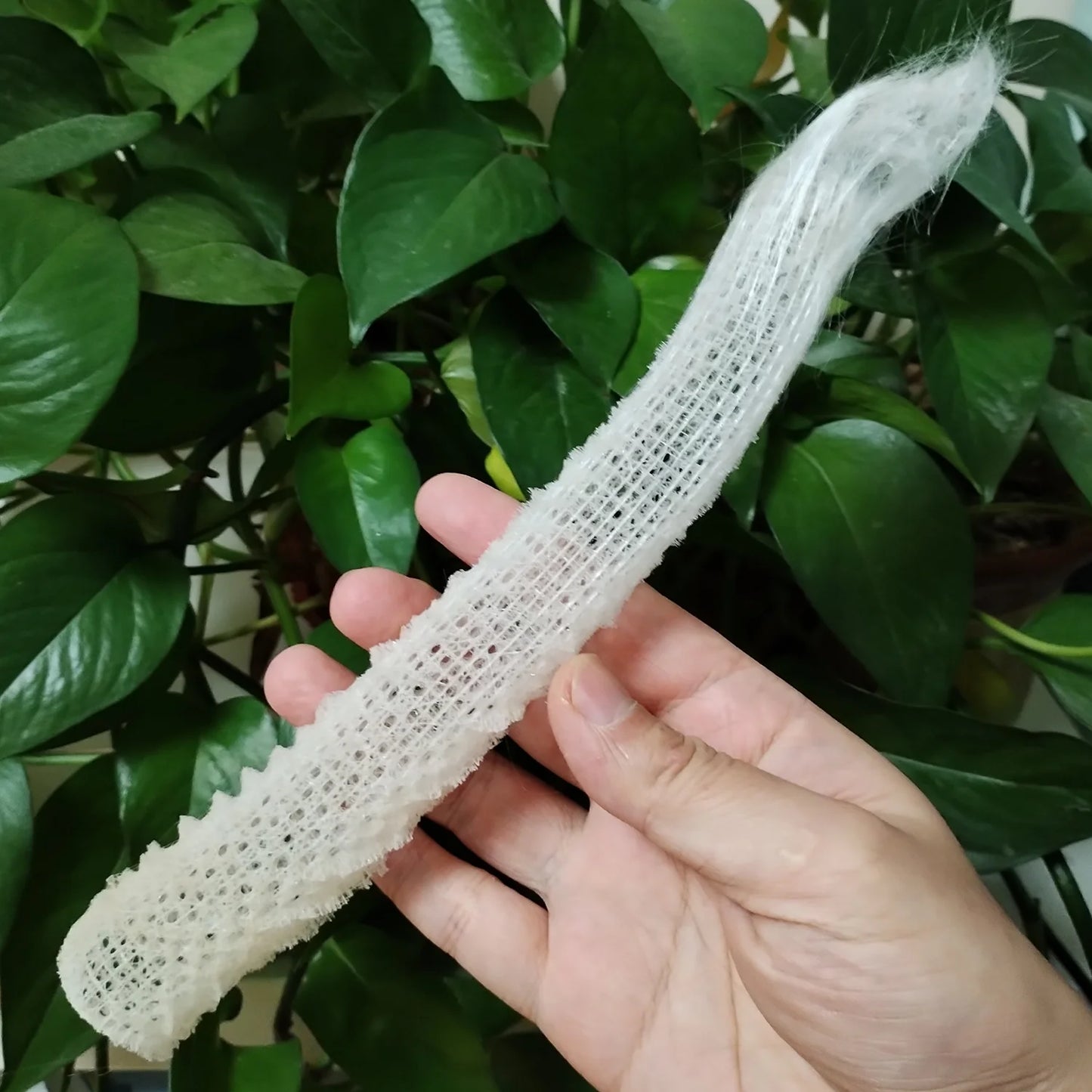 1 PC Sea Porifera Sponge, Euplectella Shell Ocean Creatures Venus Flower Basket Conch Collection Aquarium Decoration Landscaping