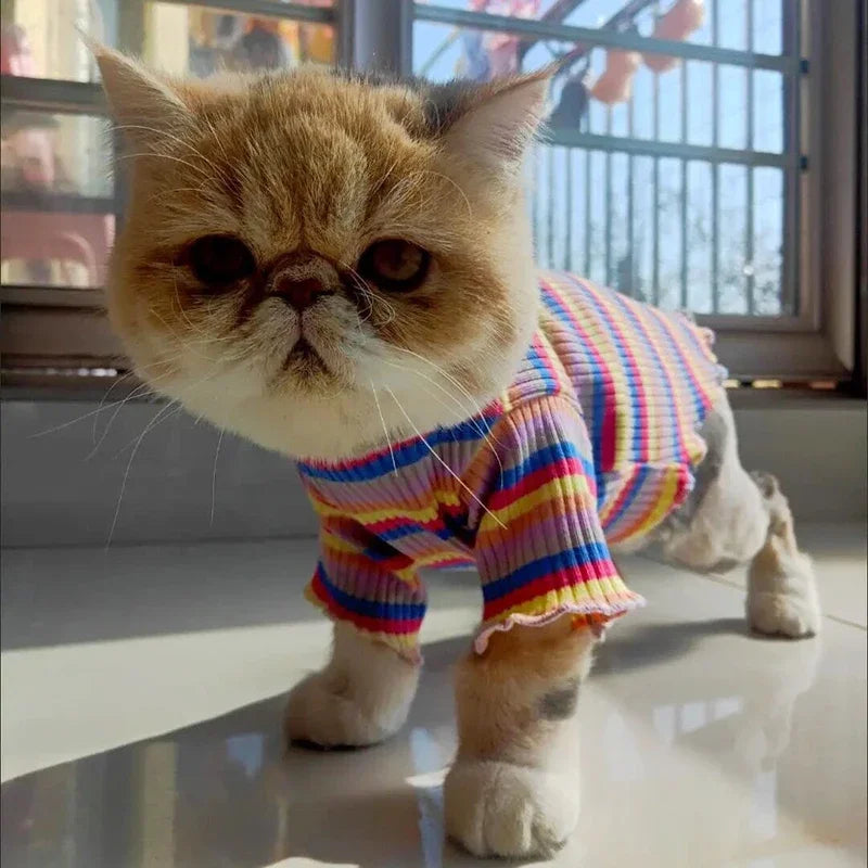 Spring Cotton Pet Cat Clothes for Cats Clothing Sweet Stripe Sphynx Cat Vest Shirt Hairless Cats