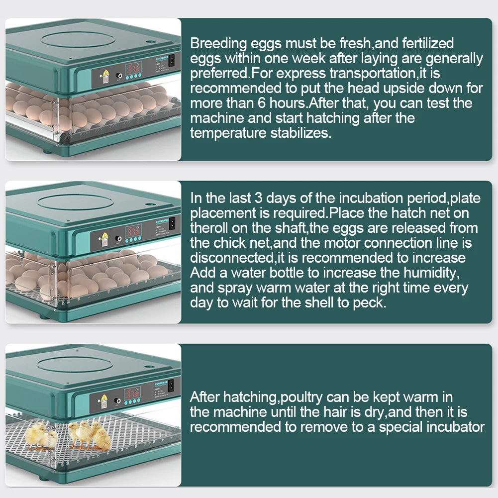 6-12 Eggs Incubator for Chicken Goose Bird Quail Automatic Incubation Equipment Hatchery Incubation Tools EU/US/UK Plug