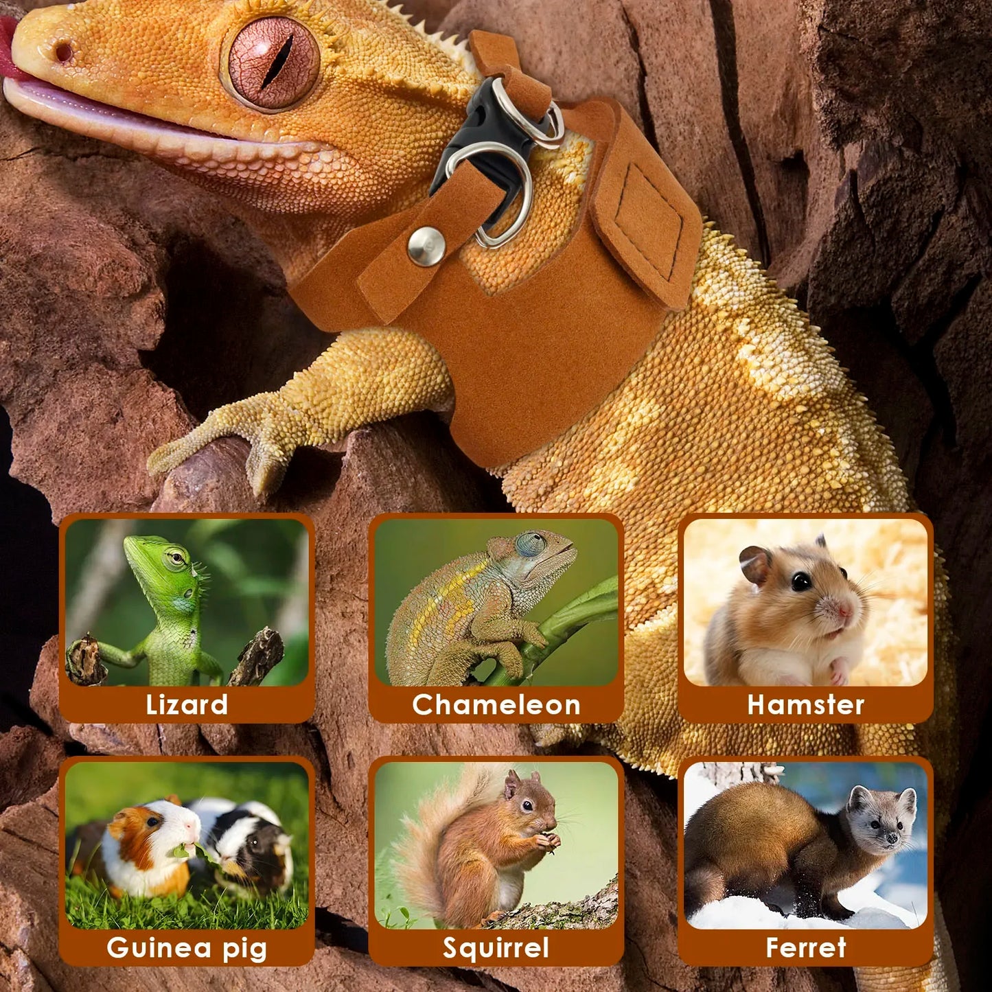 3Pcs Lizard Leash Harness Adjustable Reptile Bearded Dragon Traction Soft Rope Chameleon Amphibians Pet Harness Supplies