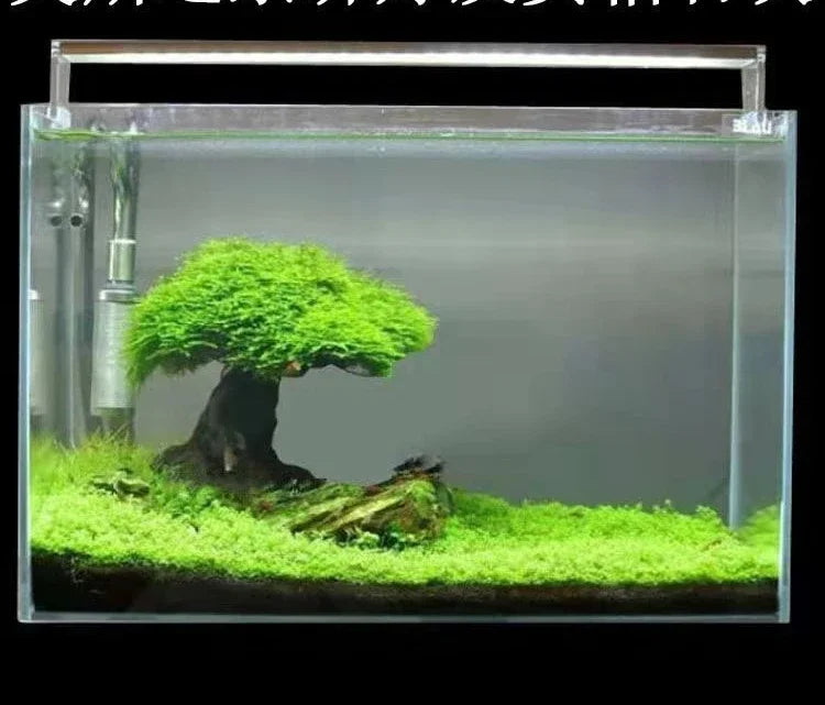 Fish Tank Plant Moss Tree Landscaping Decoration Wood Plant Root Driftwood Aquatic Plants Grass Aquarium Accessories (No Moss)