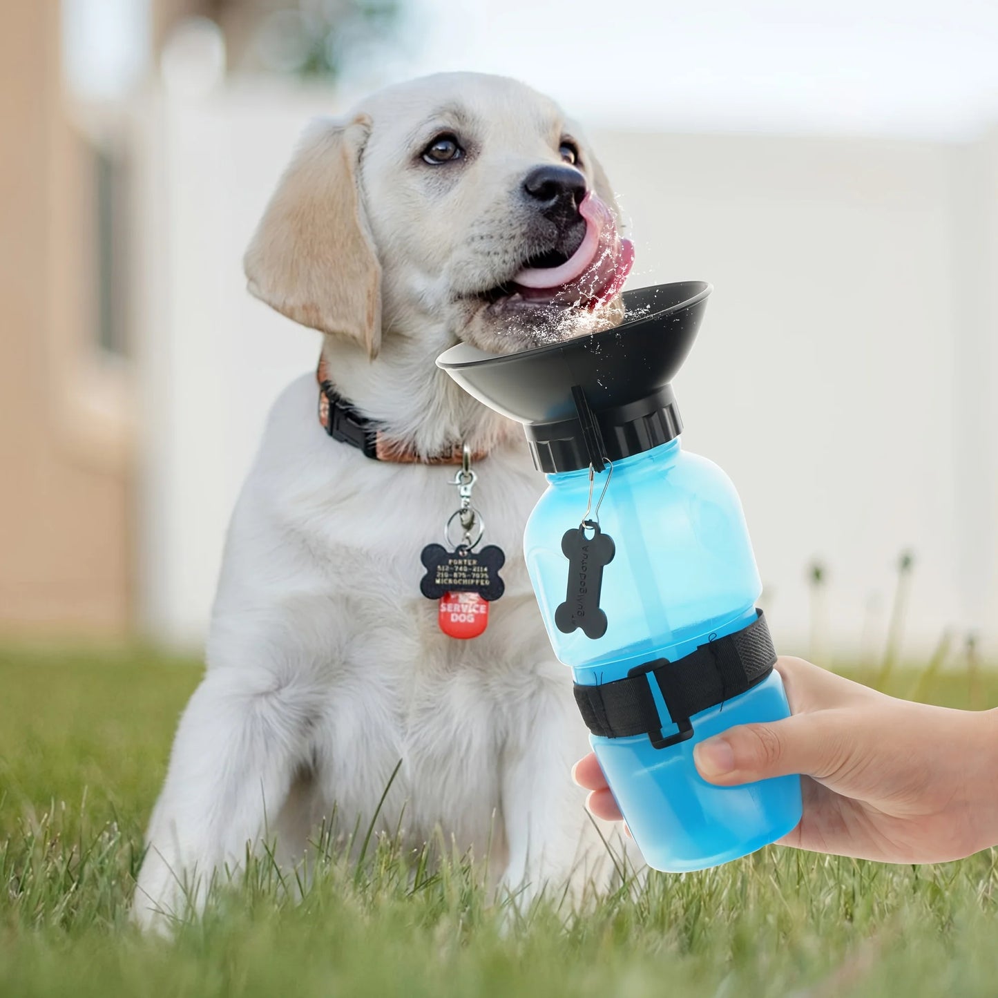 Dog Water Bottle, Portable Travel Water Bottle Dispenser For Dogs - Cats & Kitten Puppies Outdoor Travel Water Bottle Bowl,