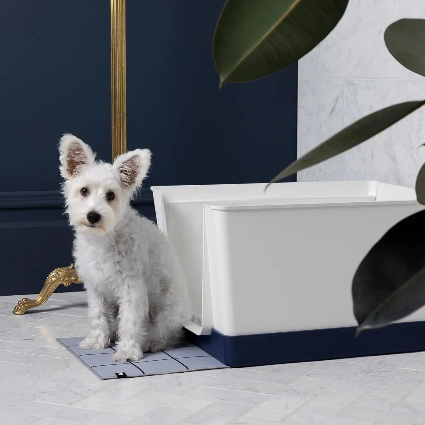 Indoor Dog Toilet Solution - No Mess and Splash Guard - Potty Training Pad Holder